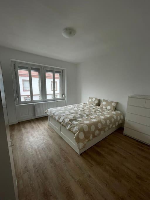 דירות Mulhouse, Urban Family Nest מראה חיצוני תמונה